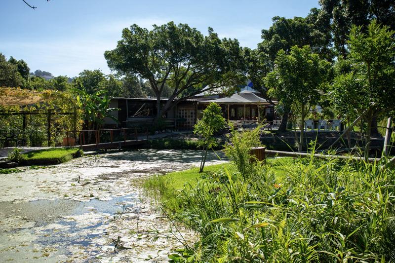 0 Bedroom Property for Sale in Piesang Valley Western Cape